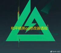 和平精英gg修改器透视代码-和平精英GG修改器透视代码，破坏游戏公平危害大，开发者如何检测？